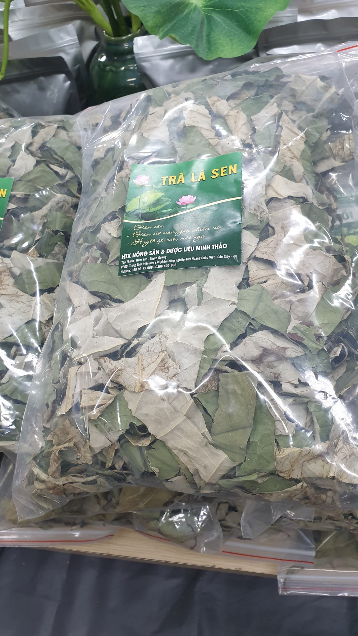 Trà lá sen - Hợp Tác Xã Nông Sản Và Dược Liệu Minh Thảo